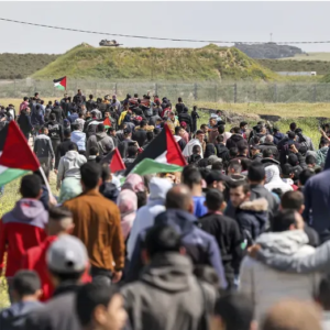 Palestine : 50 ans de la Journée de la terre (1976-2026)